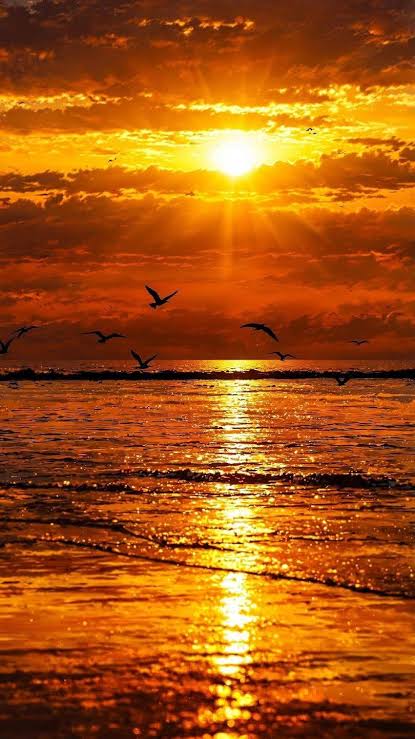 Zack Sande tweet media