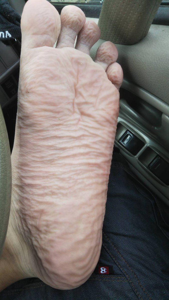 わきたむ tweet media