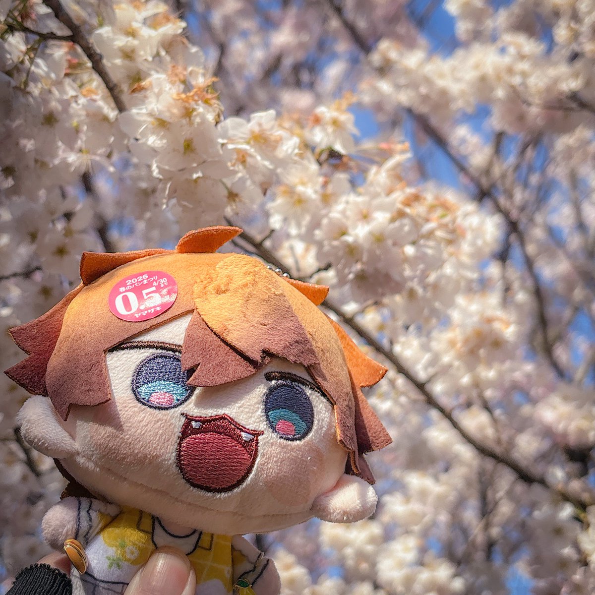 りゅう tweet media