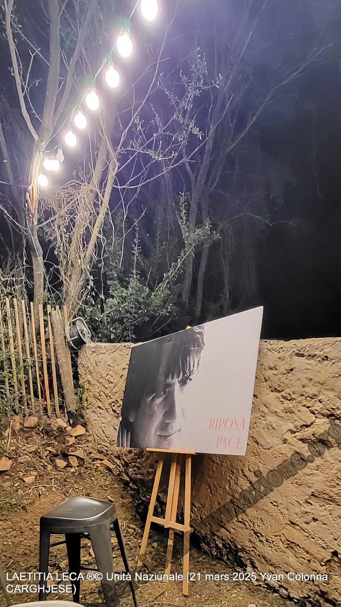 Laetitia Leca tweet media