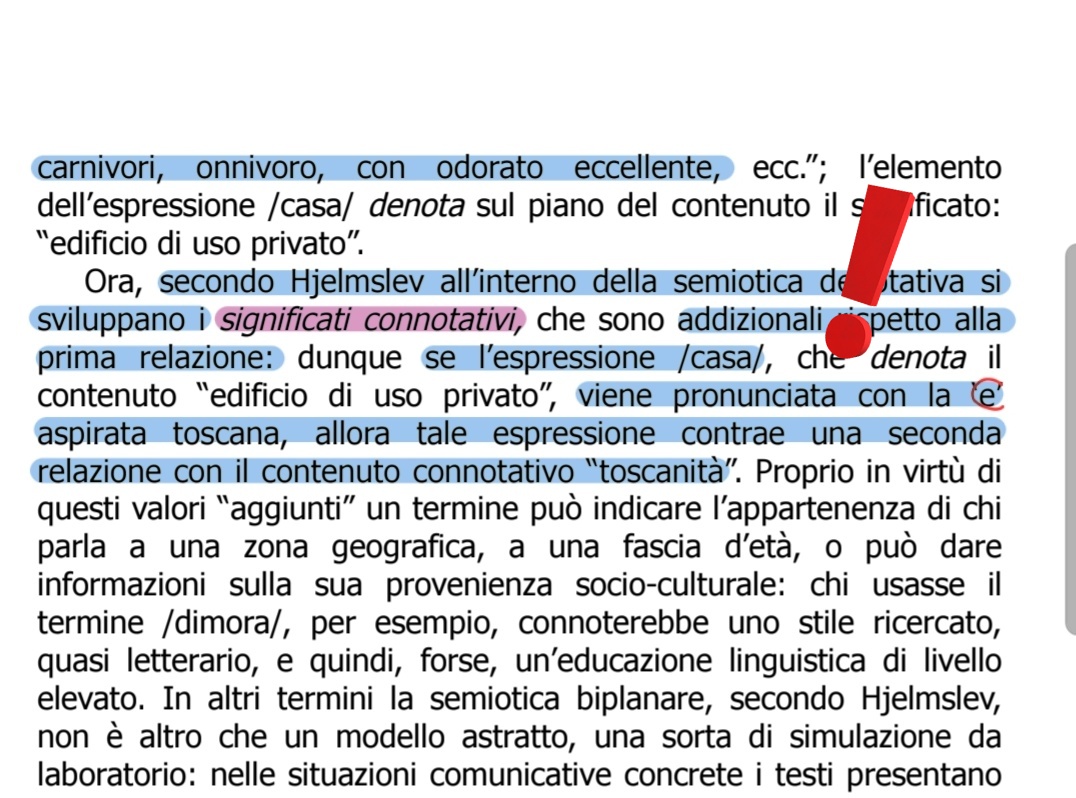 Marghe 🦋 tweet media