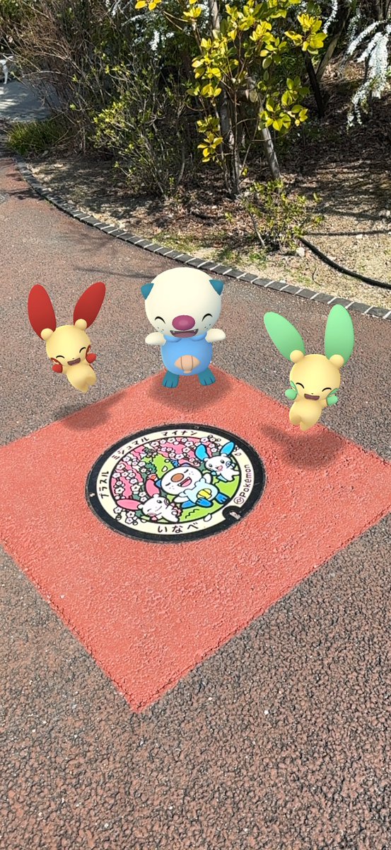PokeThankyou's tweet photo. #ポケふた https://t.co/YXiswEOjZJ
