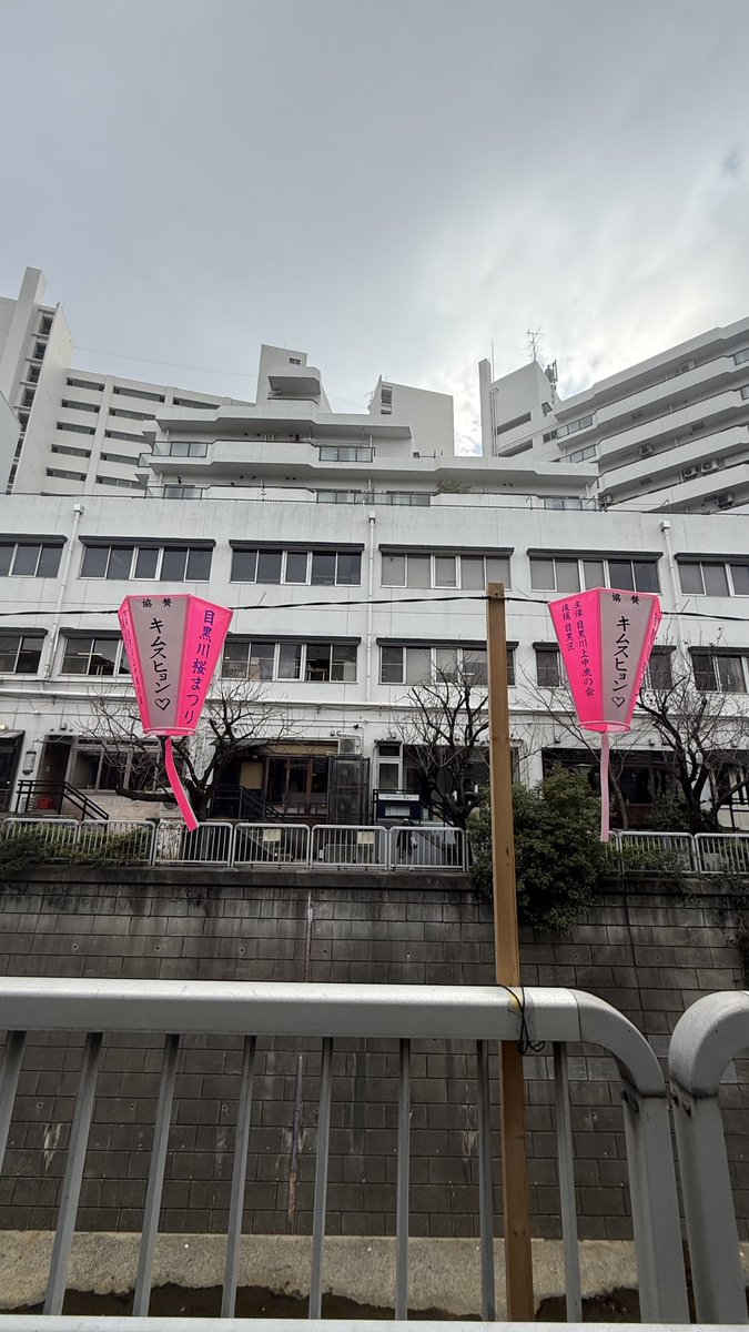 hikari tweet media