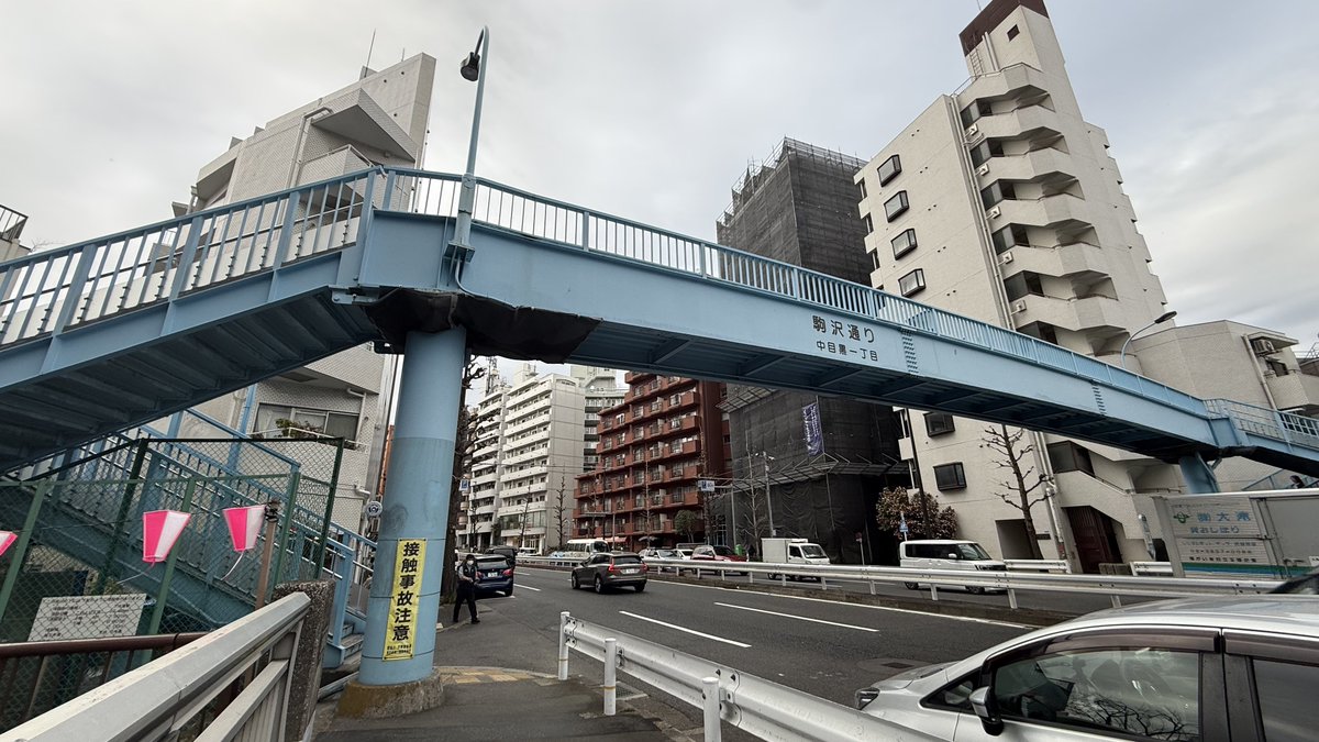 hikari tweet media