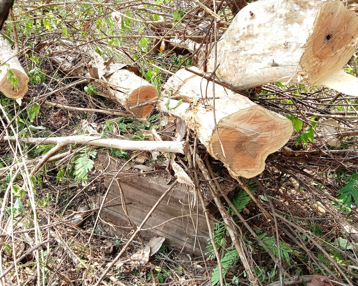 Khmer Ancient Heritages tweet media