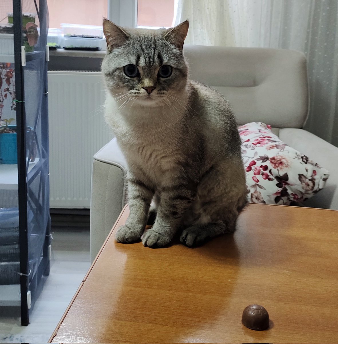 devran 🇪🇸 tweet media