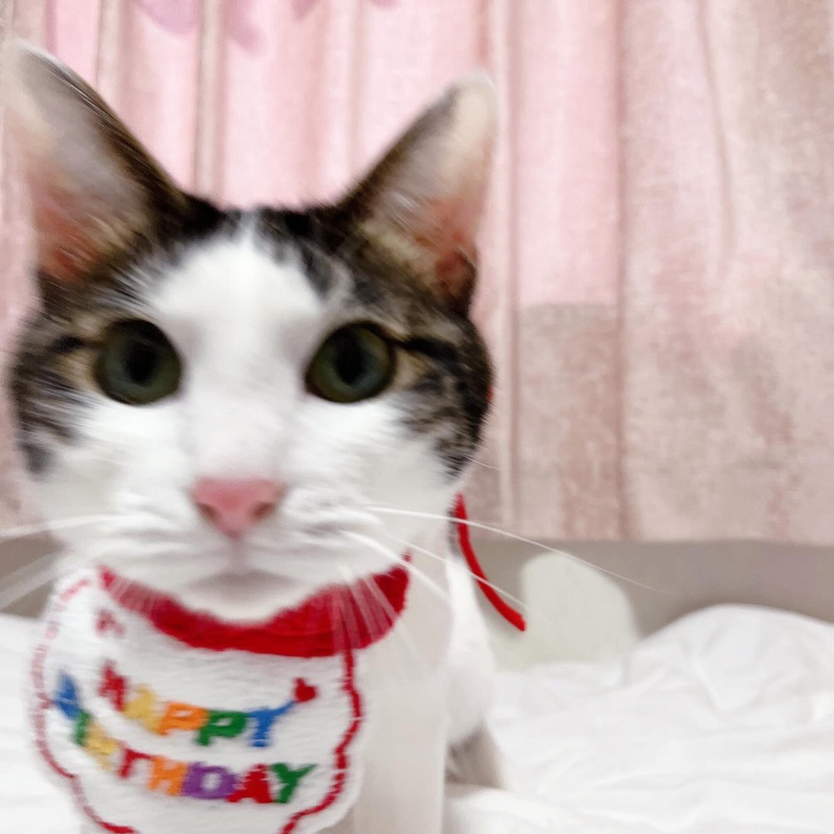 SAAYA Channel👸🏻 tweet media