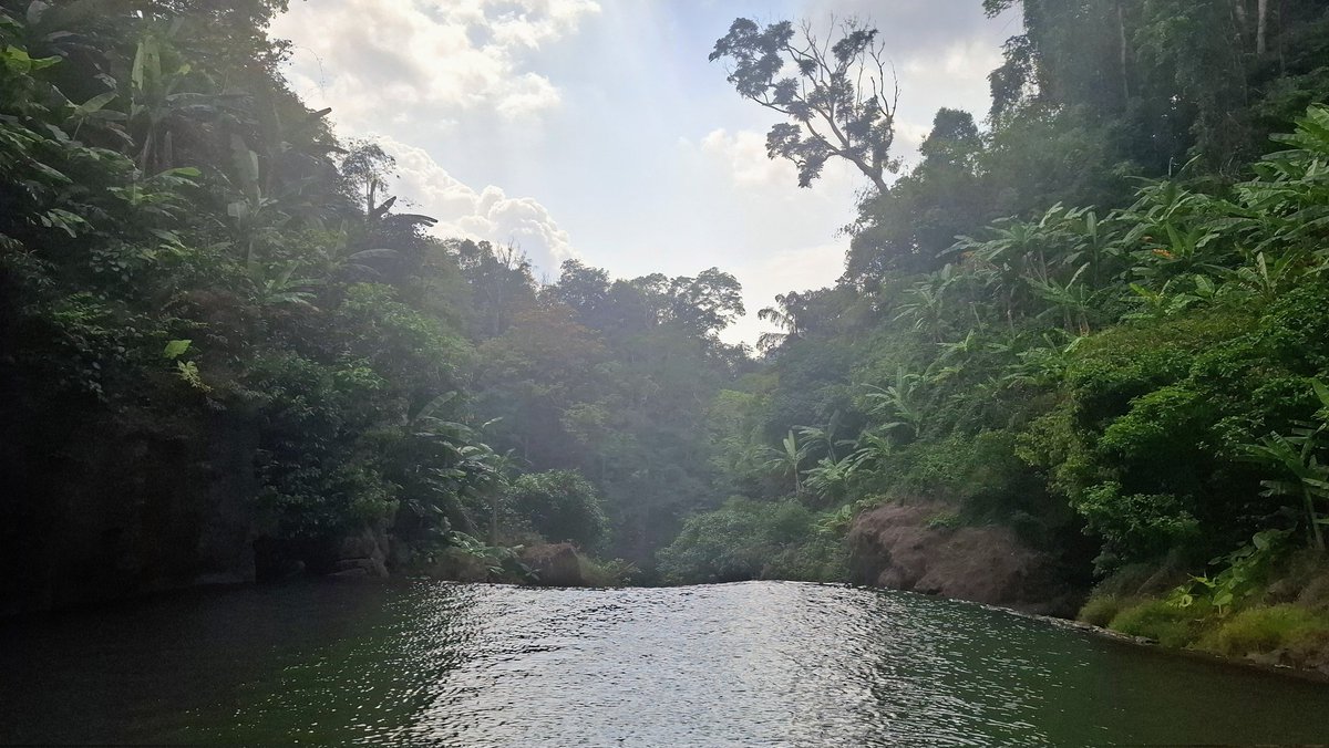 Eric van 't Hoff tweet media