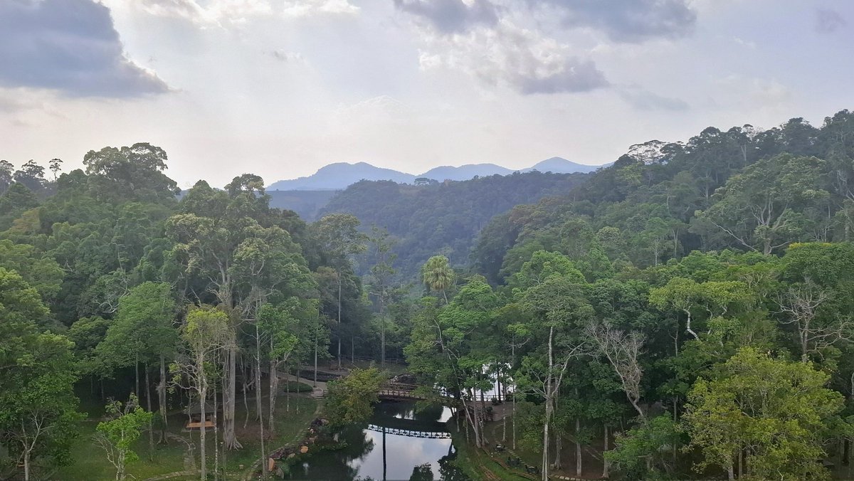 Eric van 't Hoff tweet media