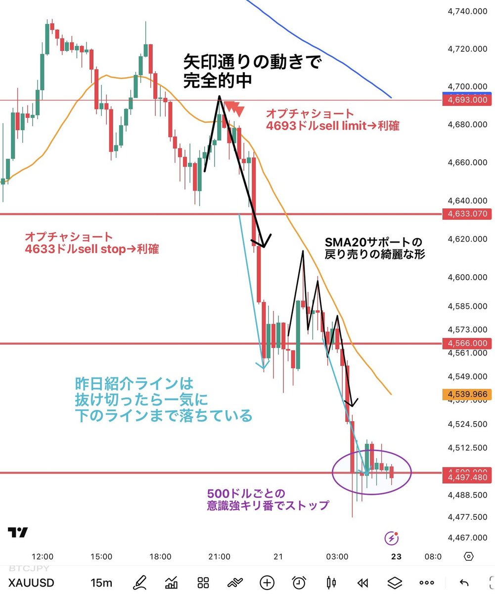 日本株マントー tweet media