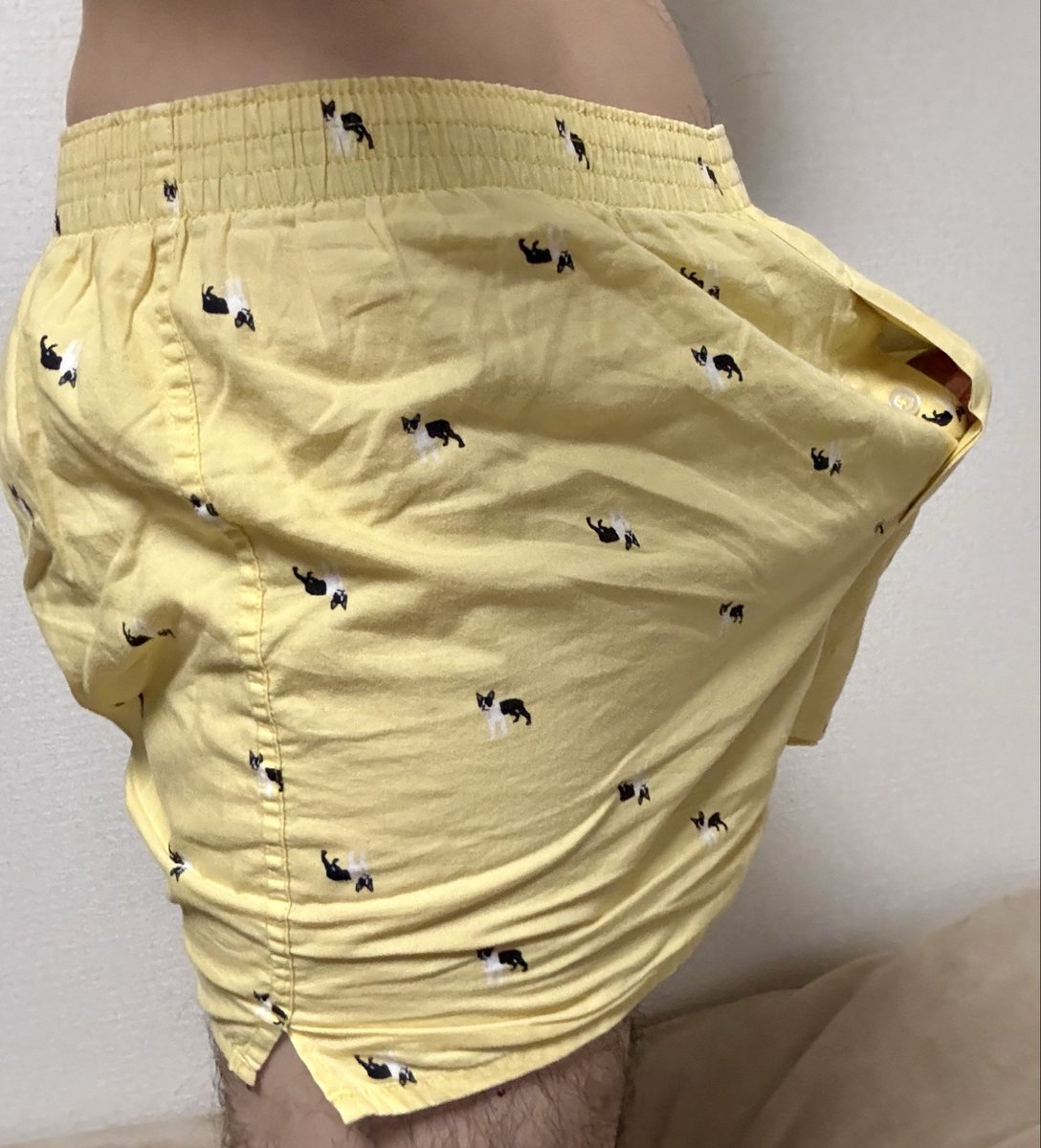 kvr_eh's tweet photo. なんだかんだでこのトランクスが好き https://t.co/YpB1dlCNy5