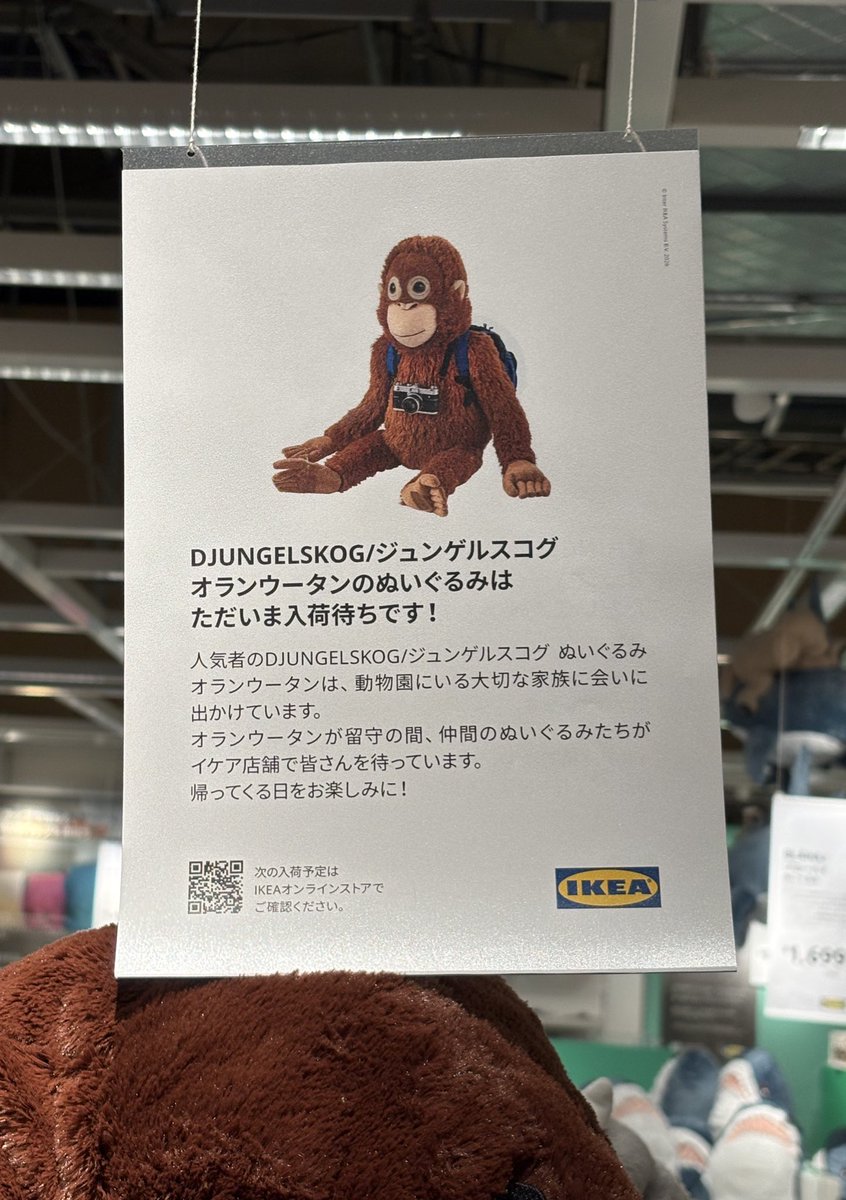 かえるのすけ🌾🐛 tweet media