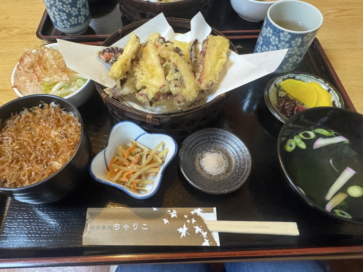 紫苑！ tweet media