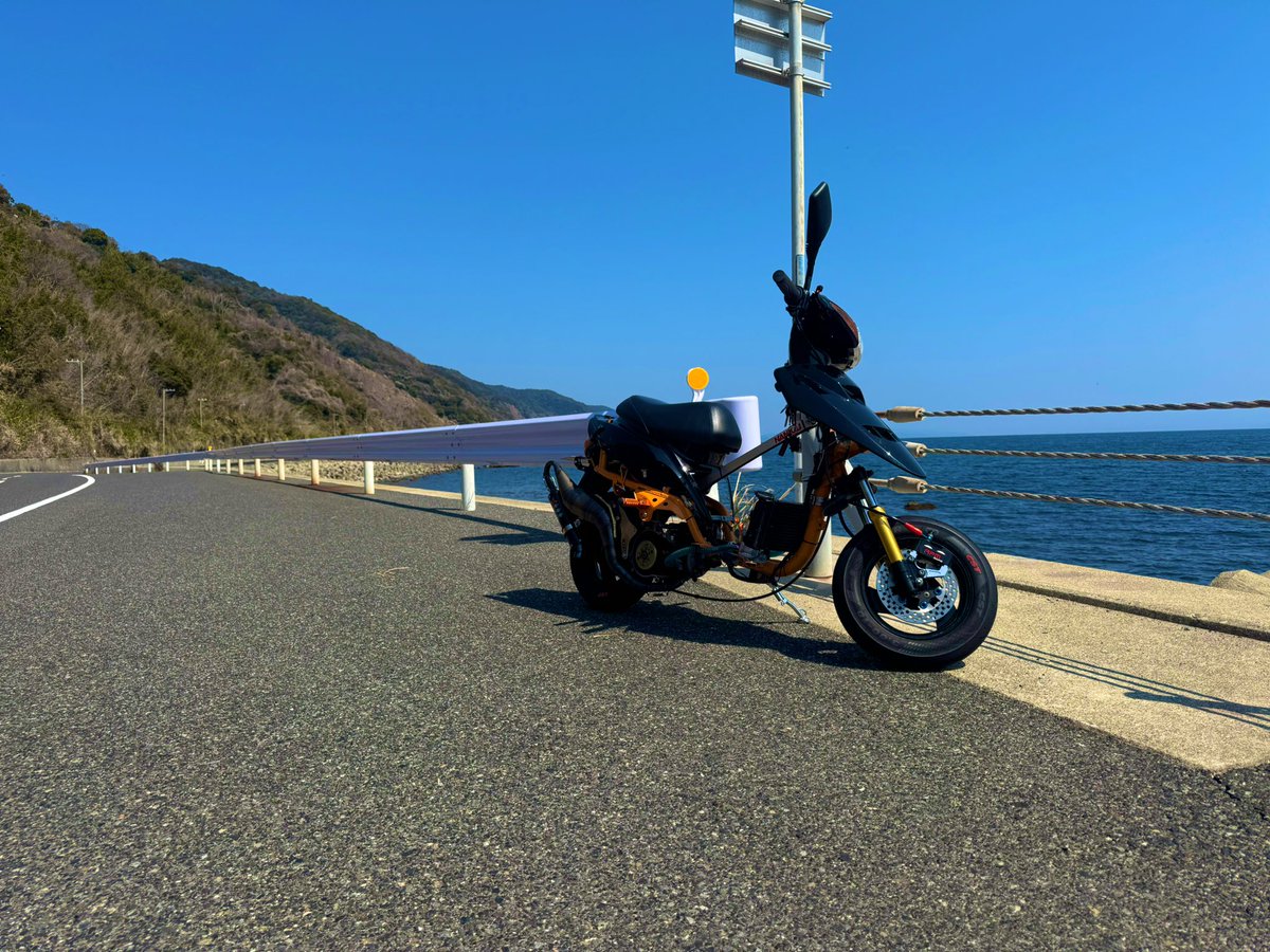 紫苑！ tweet media