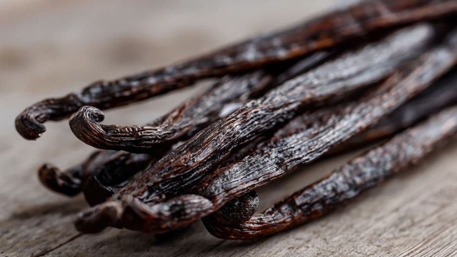 니나니뇨 tweet media