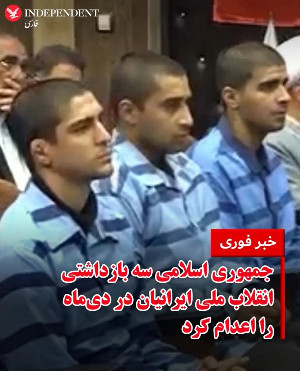 Daphne Tolis tweet media