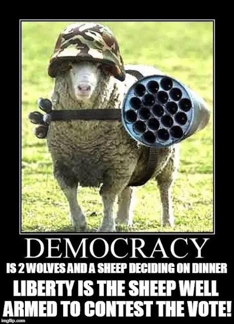 rn_lilydale's tweet photo. Just a gentle reminder of how MESSED UP the reality of “democracy” is…. ESPECIALLY true because of preferential voting &amp; the majority of #plebs having ZERO idea or #Fucks what &amp; where their vote goes!!! 👇👇👇 https://t.co/w5gHTBFQVL