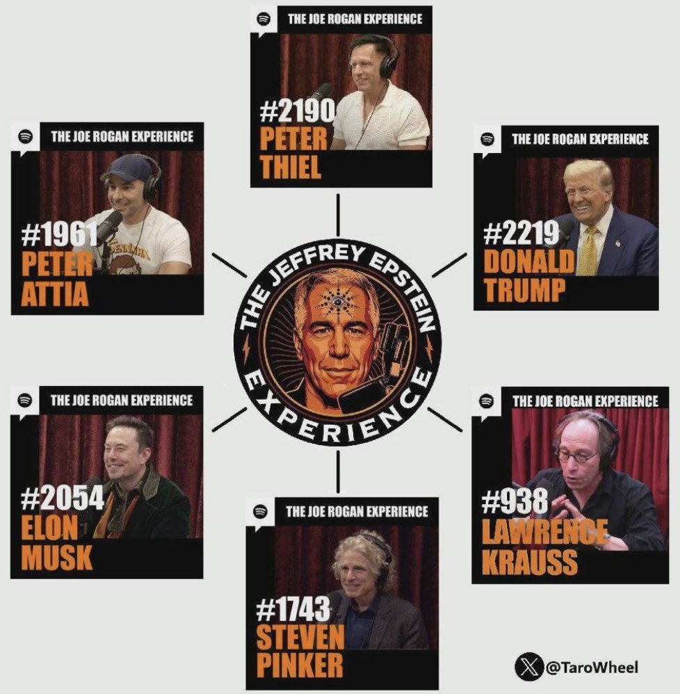 💙 Dr. MemeNstein votes 💙 BLUE 🇺🇸🦅 tweet media