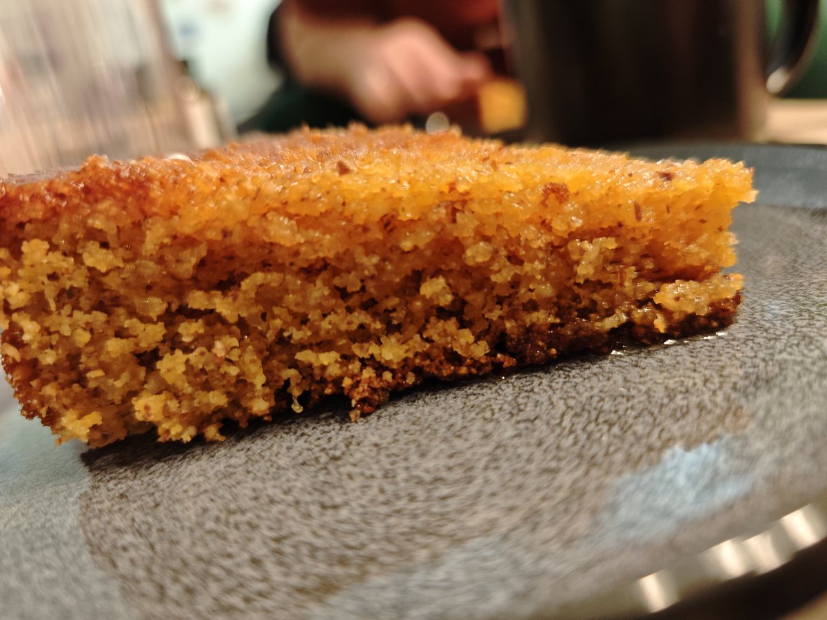 Babykatzi 🐈🐈🐈‍⬛🐈🐕 tweet media