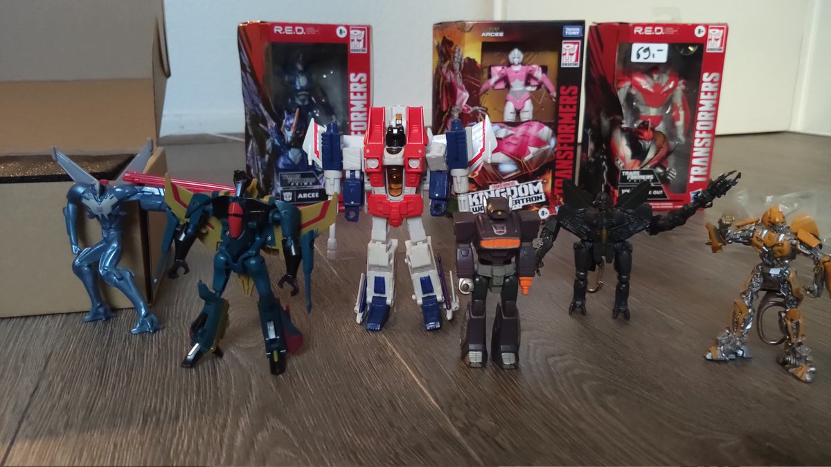 𝕾𝖈𝖍𝖆𝖙𝖙𝖊𝖓 𝖉𝖊𝖗 𝕶𝖆𝖓𝖙𝖊𝖓𝖑𝖔𝖗𝖉 🌆🌙 tweet media