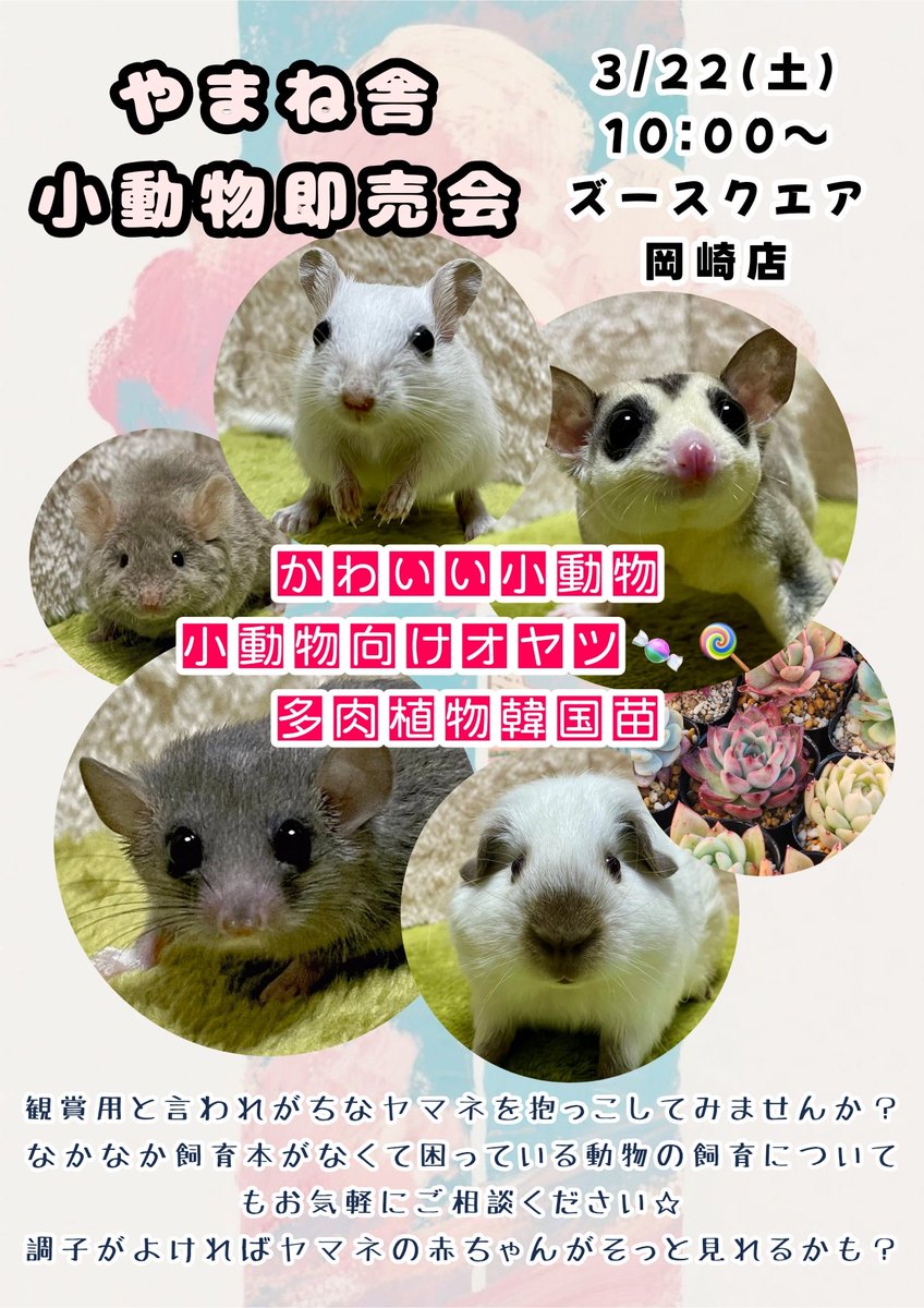 Eryndil(エリンディル)@やまね舎🐭Next➡3/15JH豊橋 tweet media