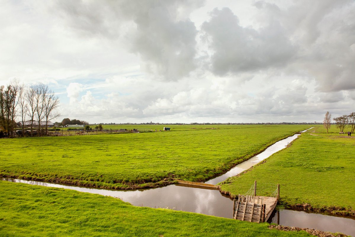 Nassreddin 🍉 نصر الدين tweet media