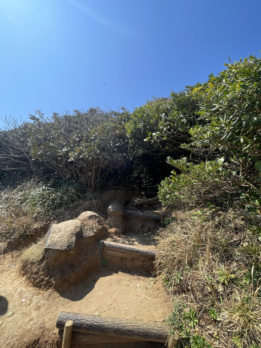 Shaw0922's tweet photo. 芥屋大門とトトロ森林😩

#糸島大探險 https://t.co/eh8K72p19Q
