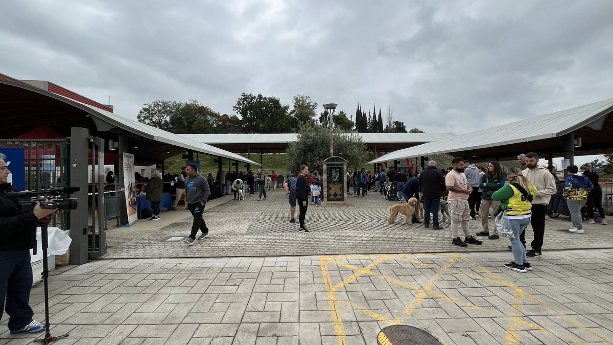 SocCaninaCSol's tweet photo. Éxito y afluencia de público en el Concurso Nacional Canina de Coín 2026. @PTV_Malaga @diputacionMLG @TurismoAndaluz @QuieroirMlg @CulturaCoin @TurismoCoin @La_SER @CSurNoticias @CanalMalagaRTV @canalsur @RadioMarcaMLG https://t.co/IZcdXH4nqR