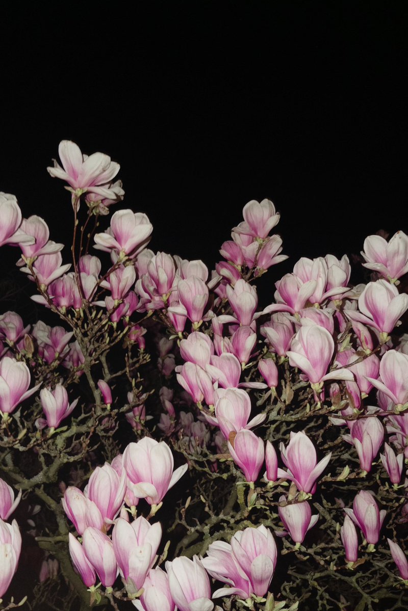 дівчинка оля трохи болю tweet media