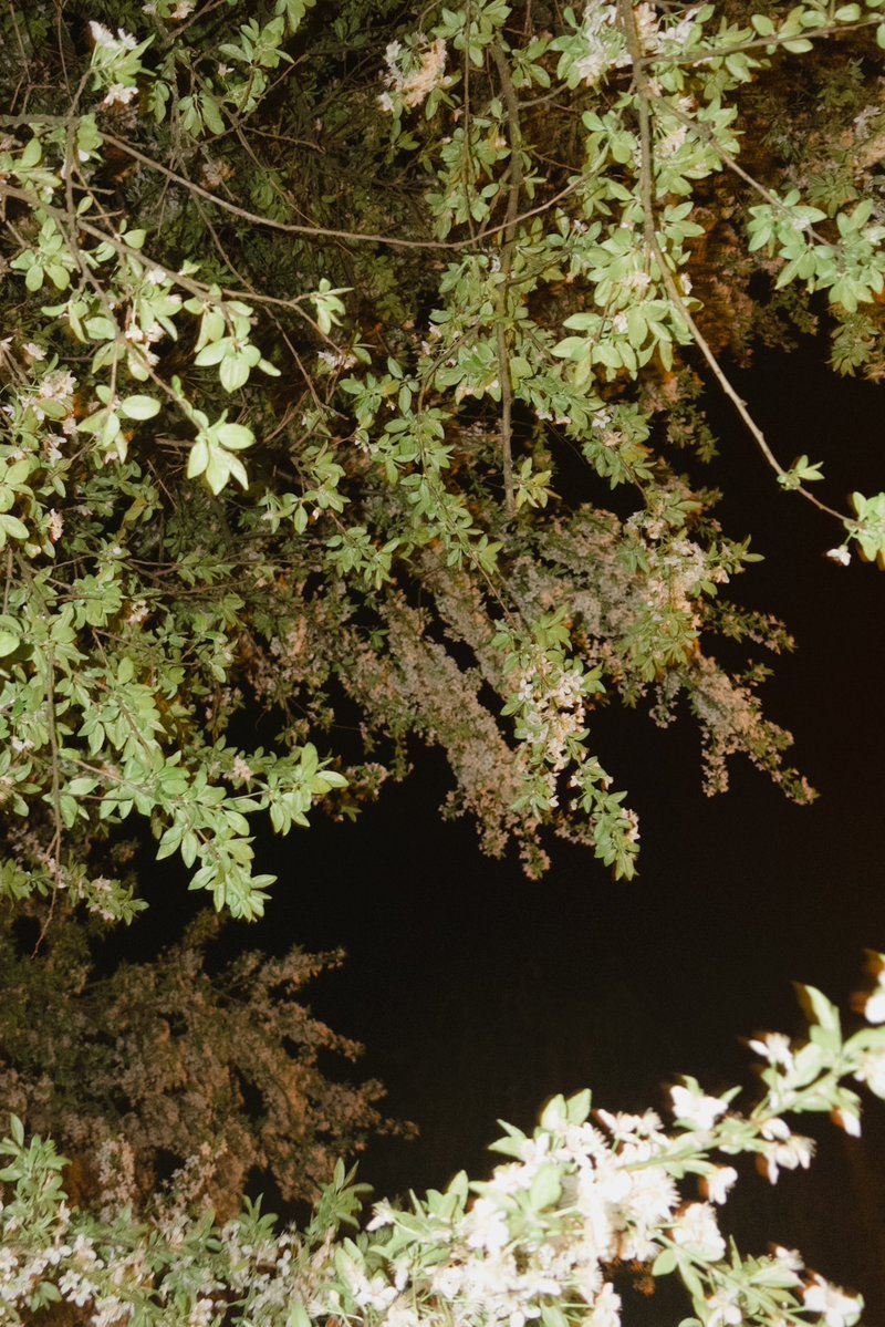 дівчинка оля трохи болю tweet media