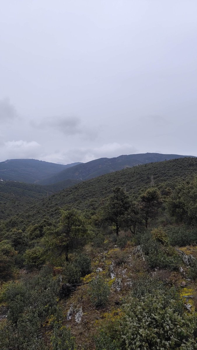 David Martínez tweet media