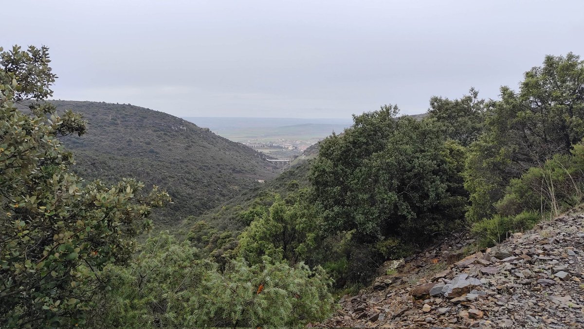 David Martínez tweet media