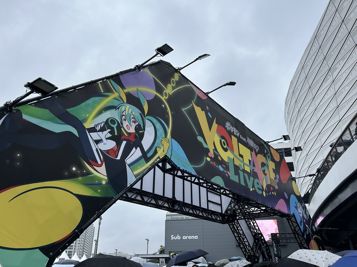 TA（DDY） tweet media