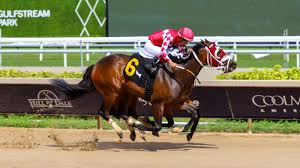 DDF3834's tweet photo. Congratulations 🏆to WINPLACEANDSHOW 🏇 battling hard to win by a head at Gulfstream Park another training graduate of Double Diamond Farm.  #DJstable #joeorseno #edgardzayas @Garrett9Smith @DJ_Stable https://t.co/vUuROdKdWp