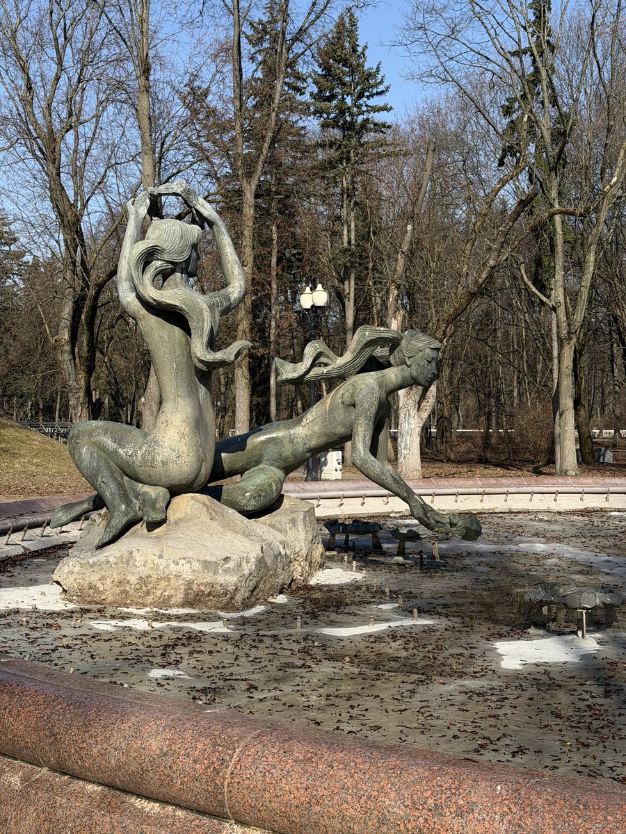 Lonely Bear tweet media