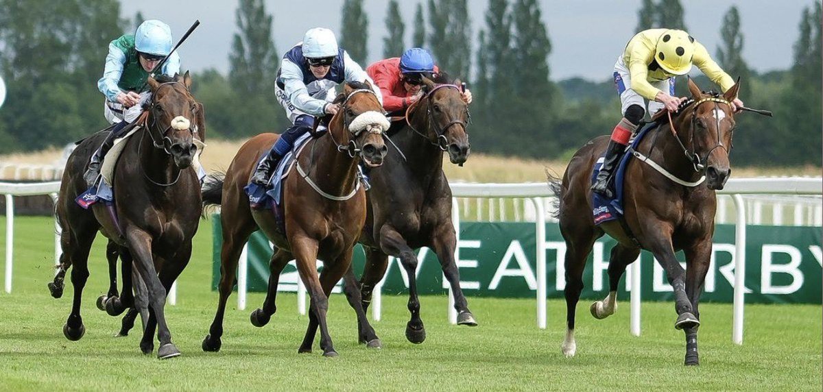 dickieevans1's tweet photo. My Nap Of The Day 

1.15 Newbury

Cecilia Star 9/2 ⭐️⭐️⭐️⭐️⭐️⭐️

Good weight here and certainly should settle well in this race.
Every chance she can finish best here as she has plenty of speed. https://t.co/0cnaFlIVEm