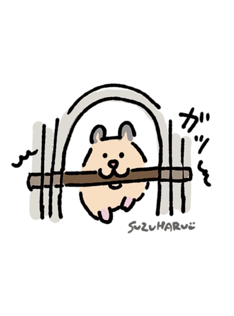 すずはる🐹🐰 tweet media