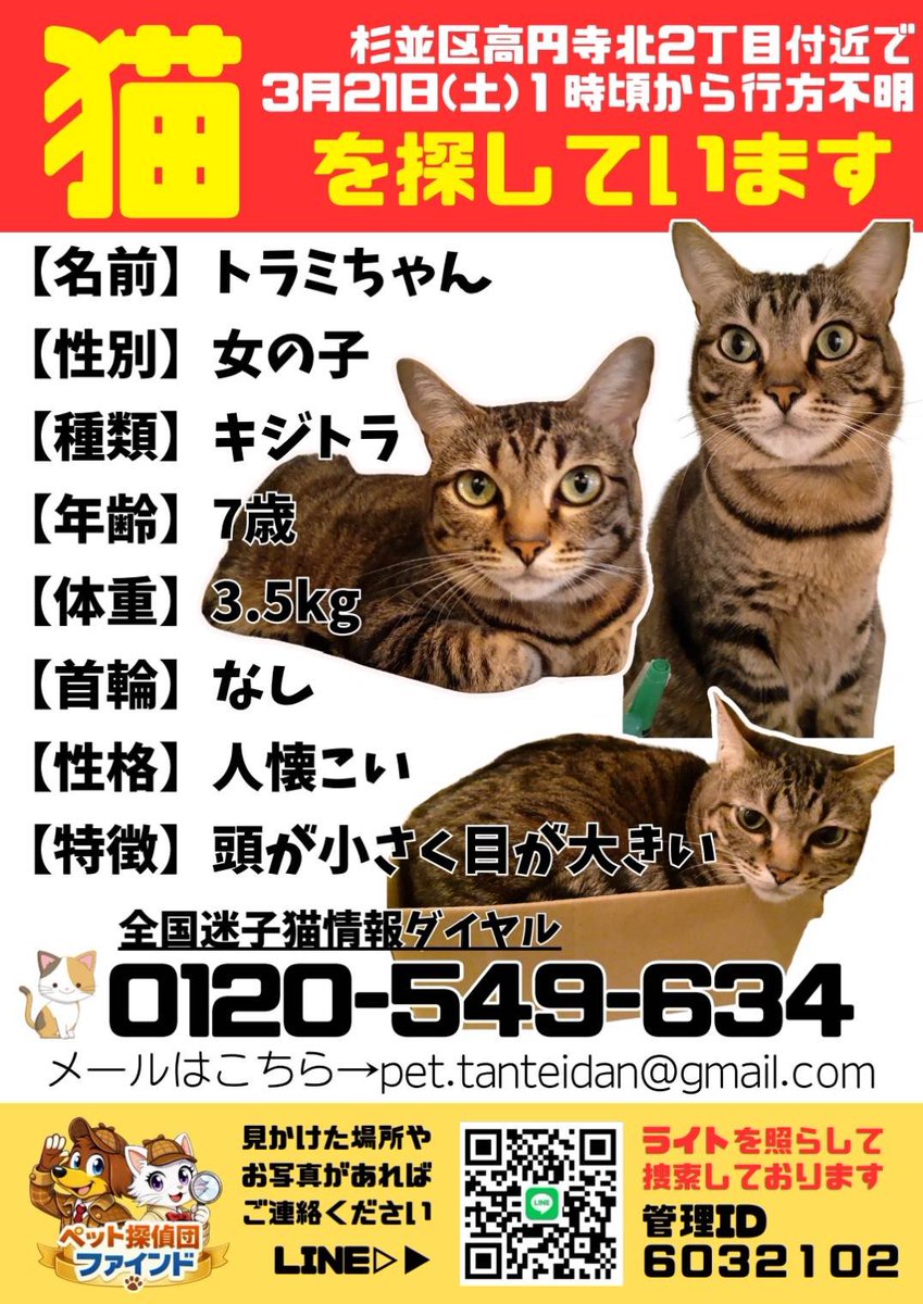 田渕恭子 はちみつシアター tweet media