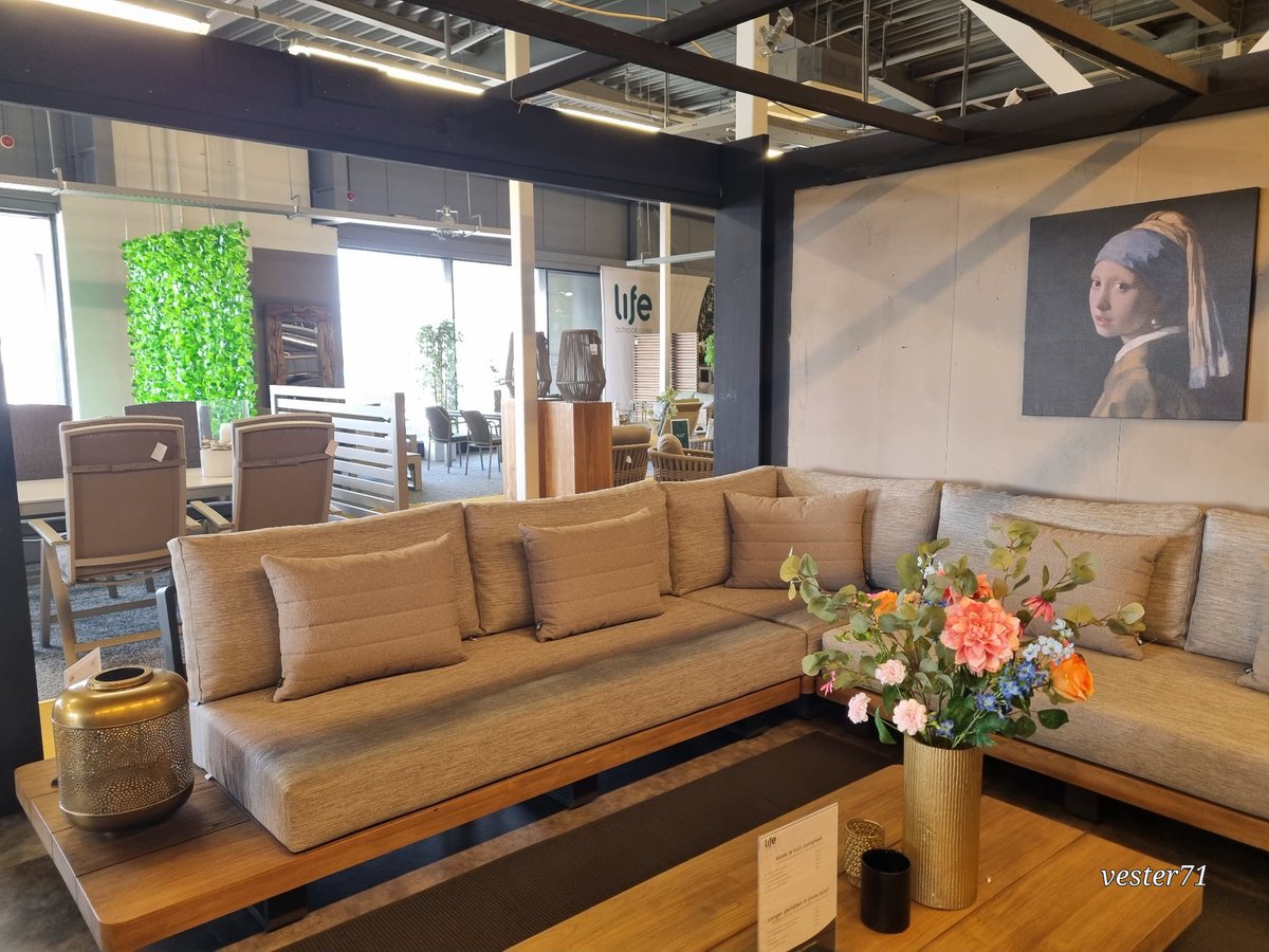 vester71 tweet media