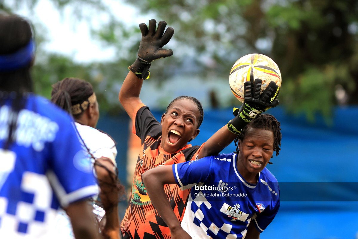 BataImages tweet media