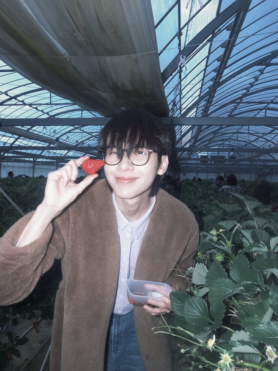 Diva picking strawberries 🍓

 #DMDChillDayInJapan 
#ohmkrit