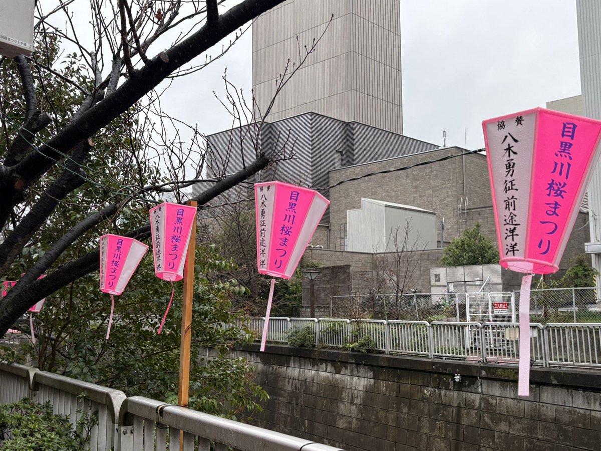 きっく tweet media
