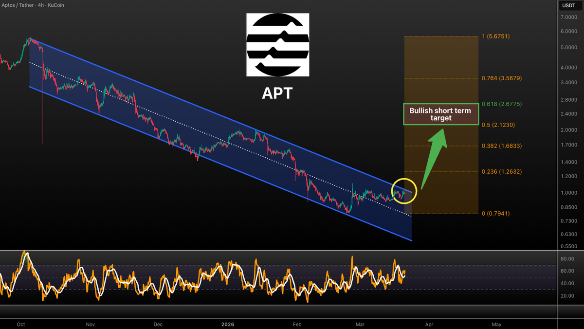 Vuori Trading tweet media