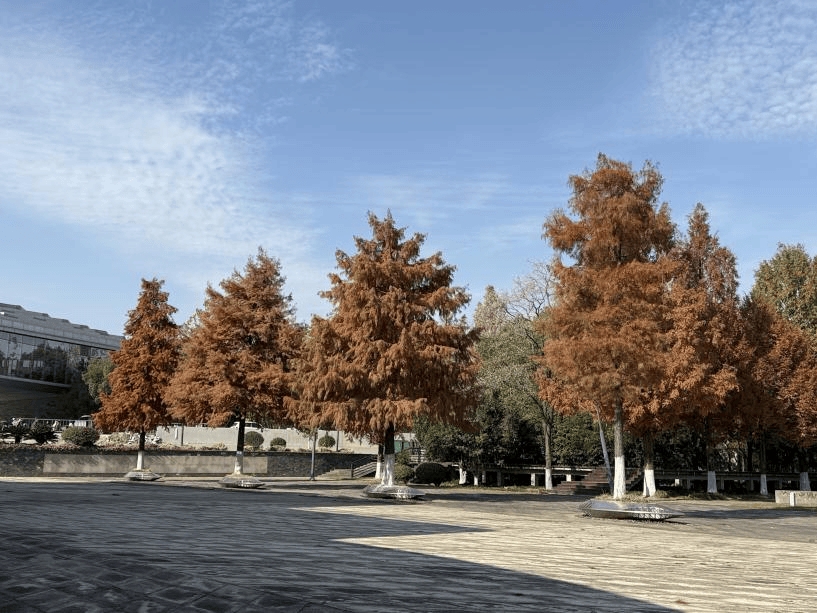 Michael Neves Silva tweet media