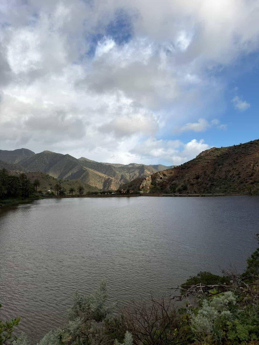 Efraín Medina Hdez. tweet media