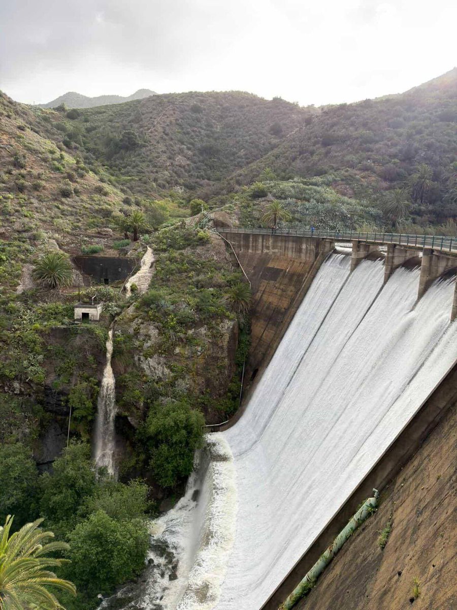 Efraín Medina Hdez. tweet media