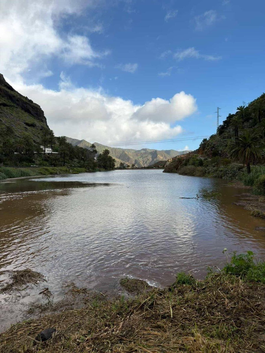 Efraín Medina Hdez. tweet media