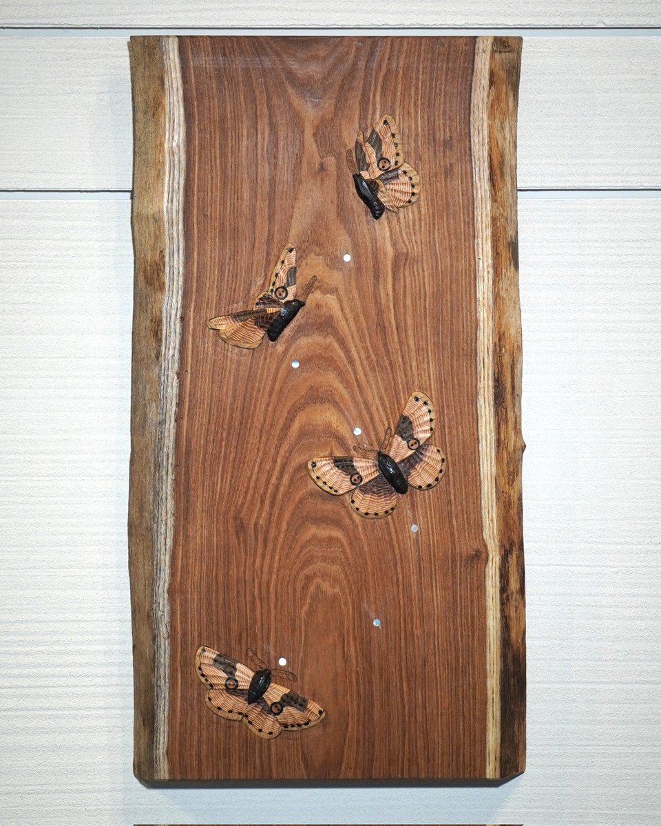 森 和輝/Kazuki Mori tweet media