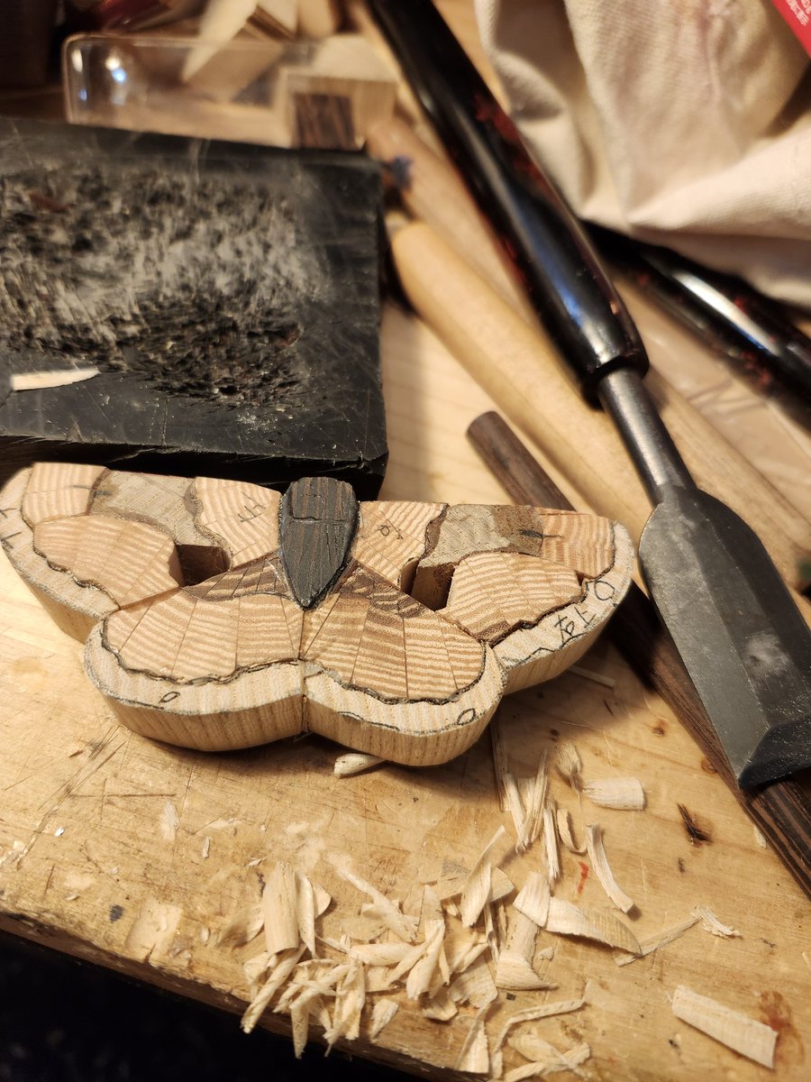 森 和輝/Kazuki Mori tweet media