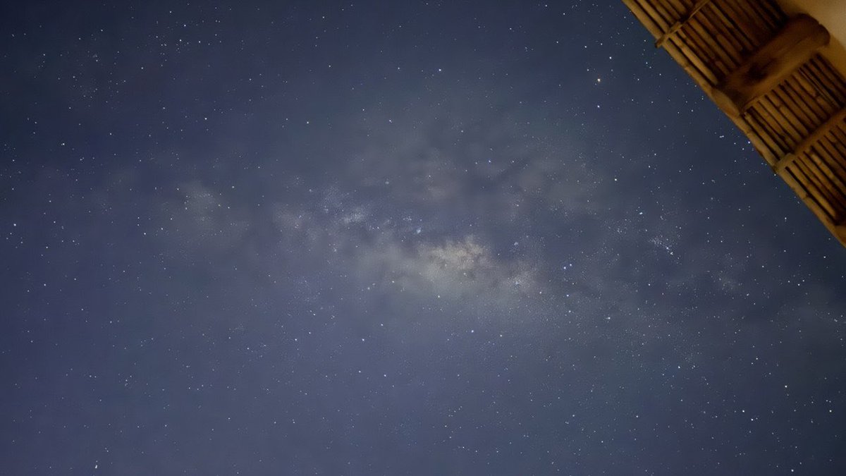 Феерическое тюленеводство tweet media